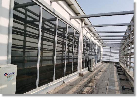 加拿大28预测网