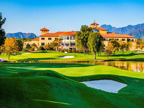 加拿大28预测网