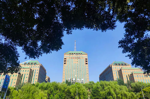 加拿大28预测网