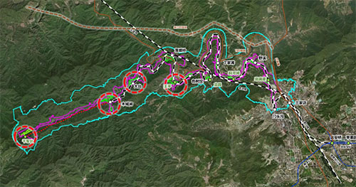 加拿大28预测网