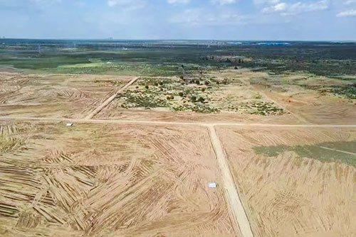 加拿大28预测网