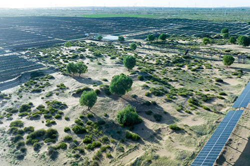 加拿大28预测网