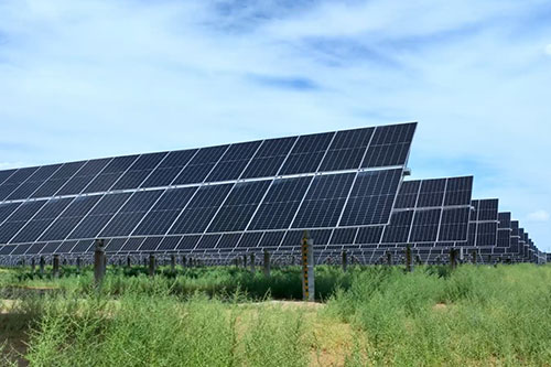 加拿大28预测网