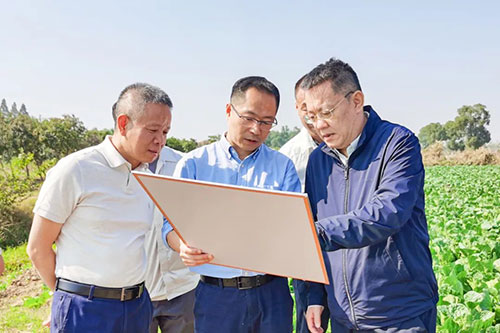 加拿大28预测网