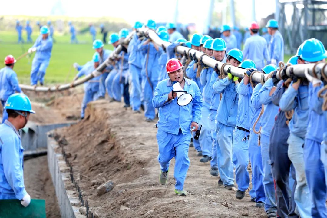 加拿大28预测网