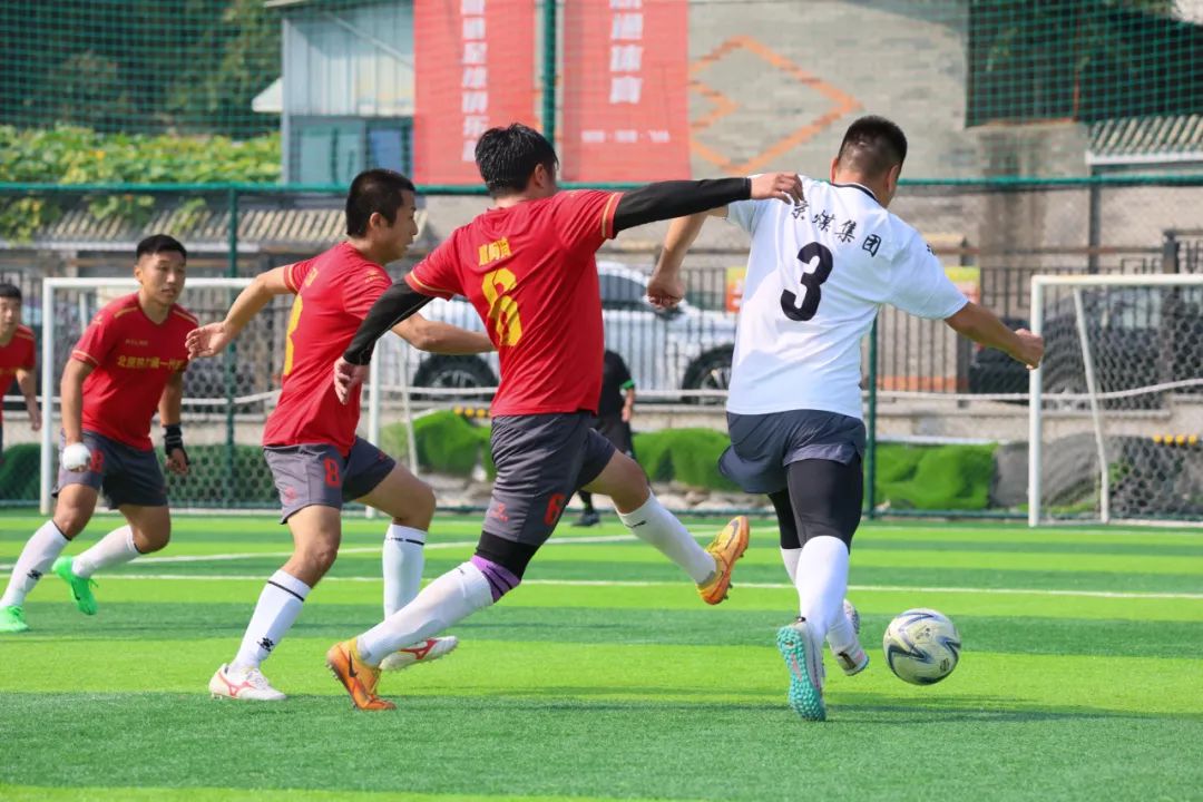 加拿大28预测网