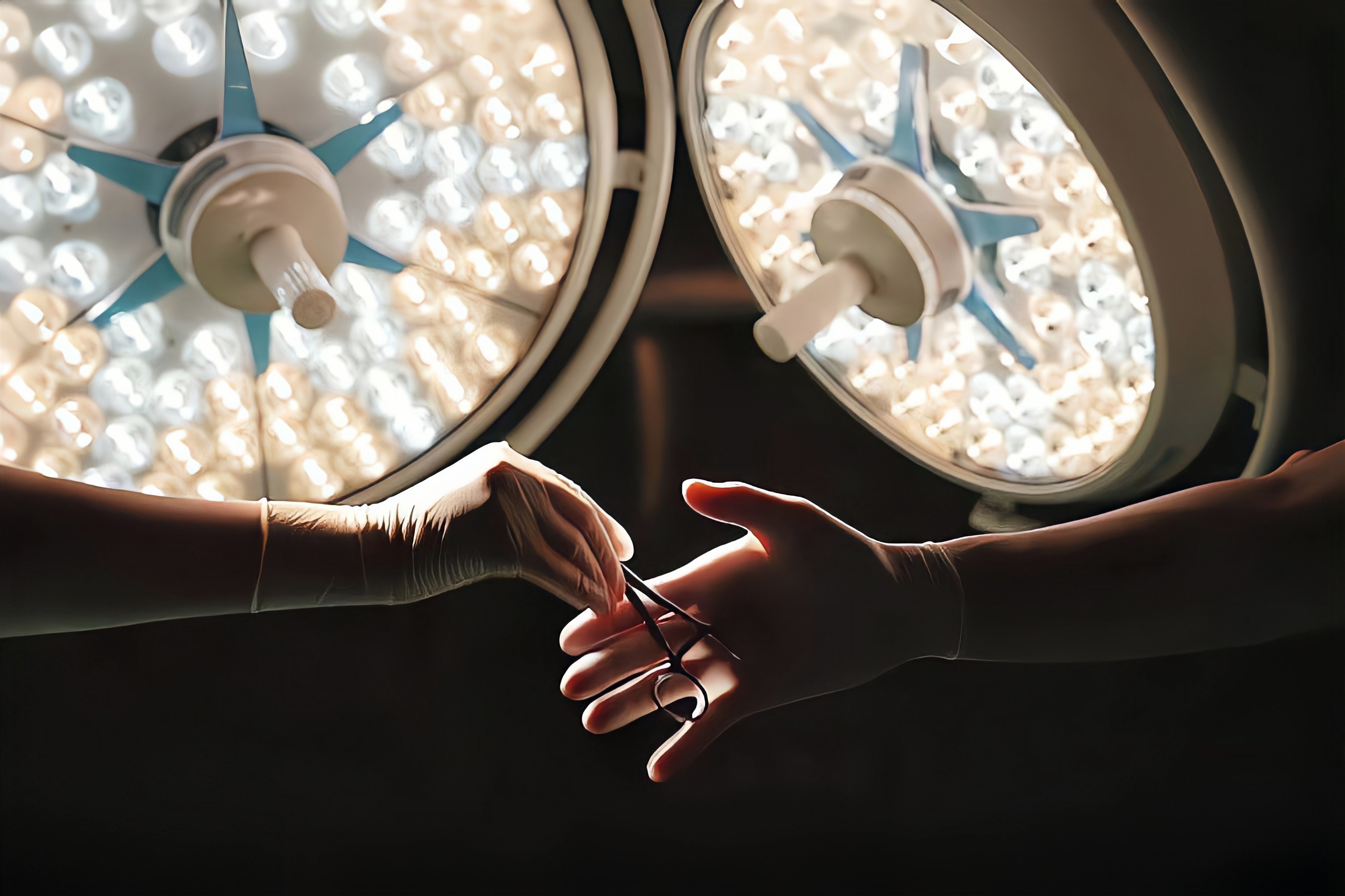 加拿大28预测网