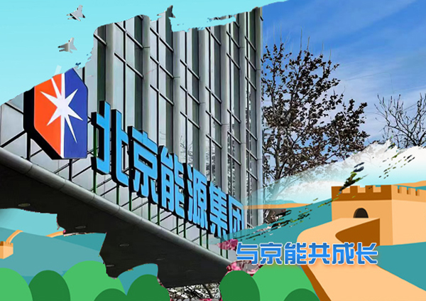 加拿大28预测网