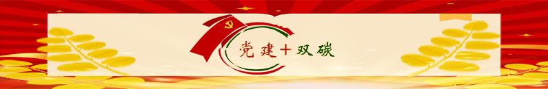 加拿大28预测网