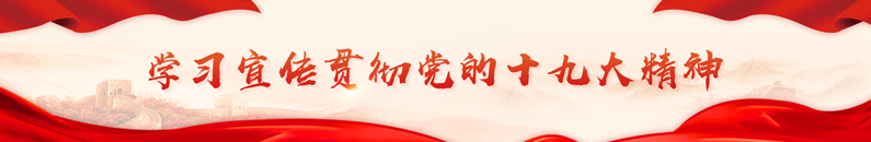 加拿大28预测网