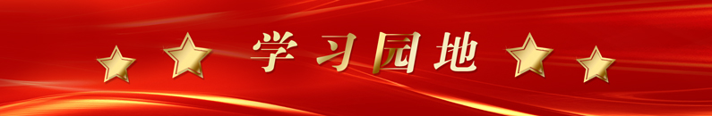 加拿大28预测网