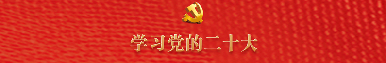 加拿大28预测网