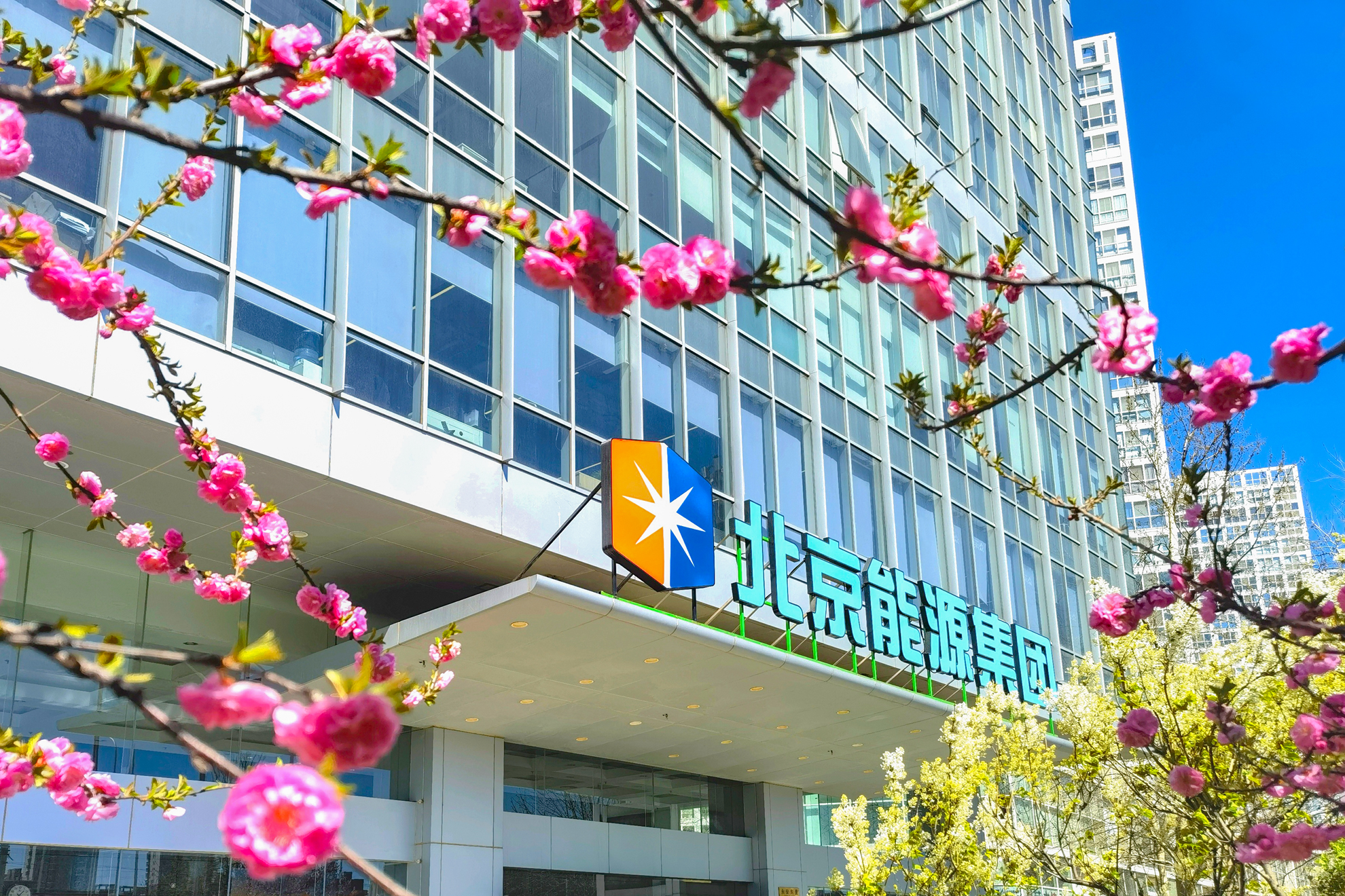 加拿大28预测网