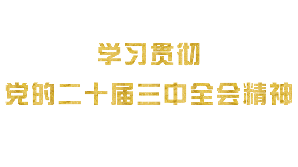 加拿大28预测网