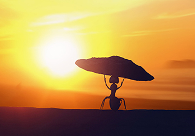 加拿大28预测网